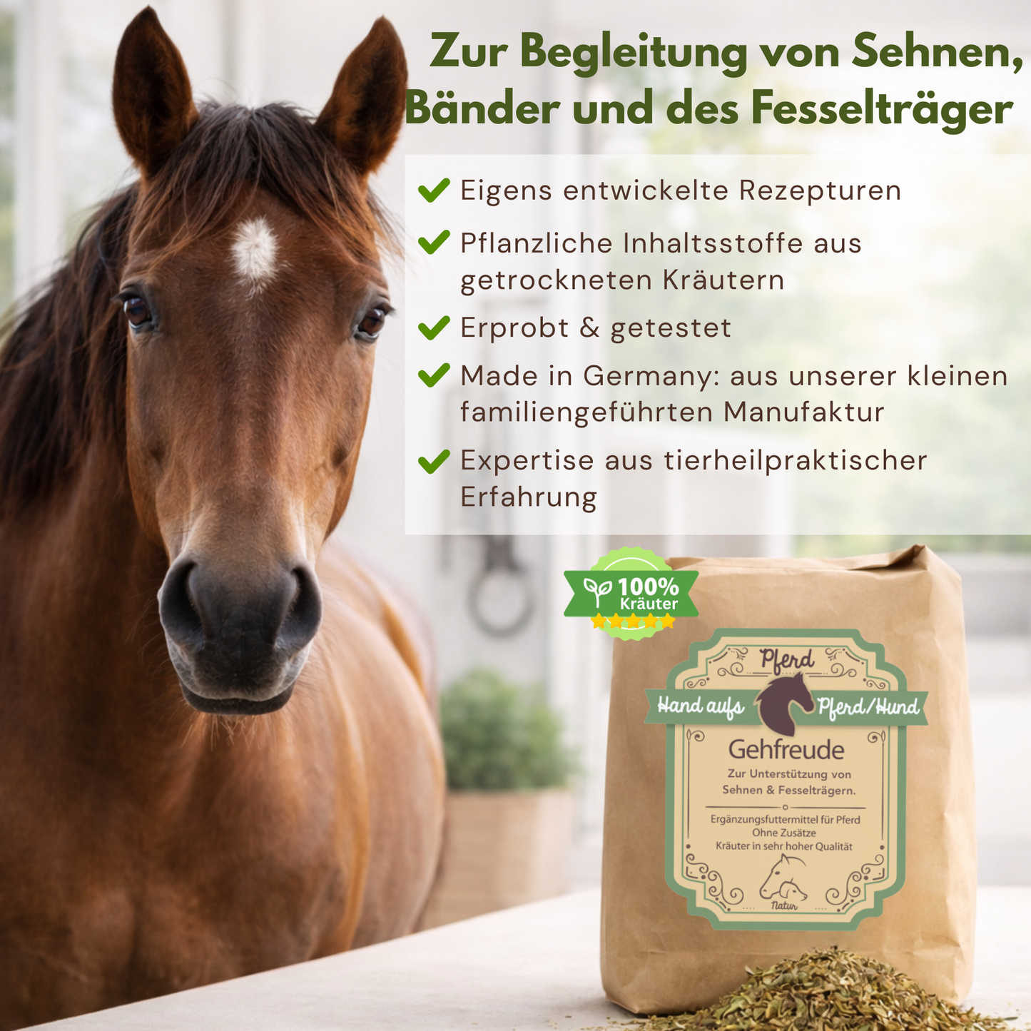 Sehnen Bänder und Fesselträger pferd unterstützen