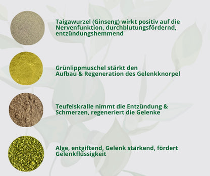 Arthrose-Kräuter Hund Behandlung und Vorbeugung?