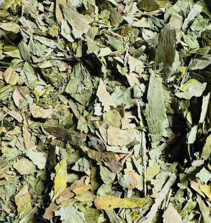 Ginkgo für Hunde - Futter für die Durchblutung