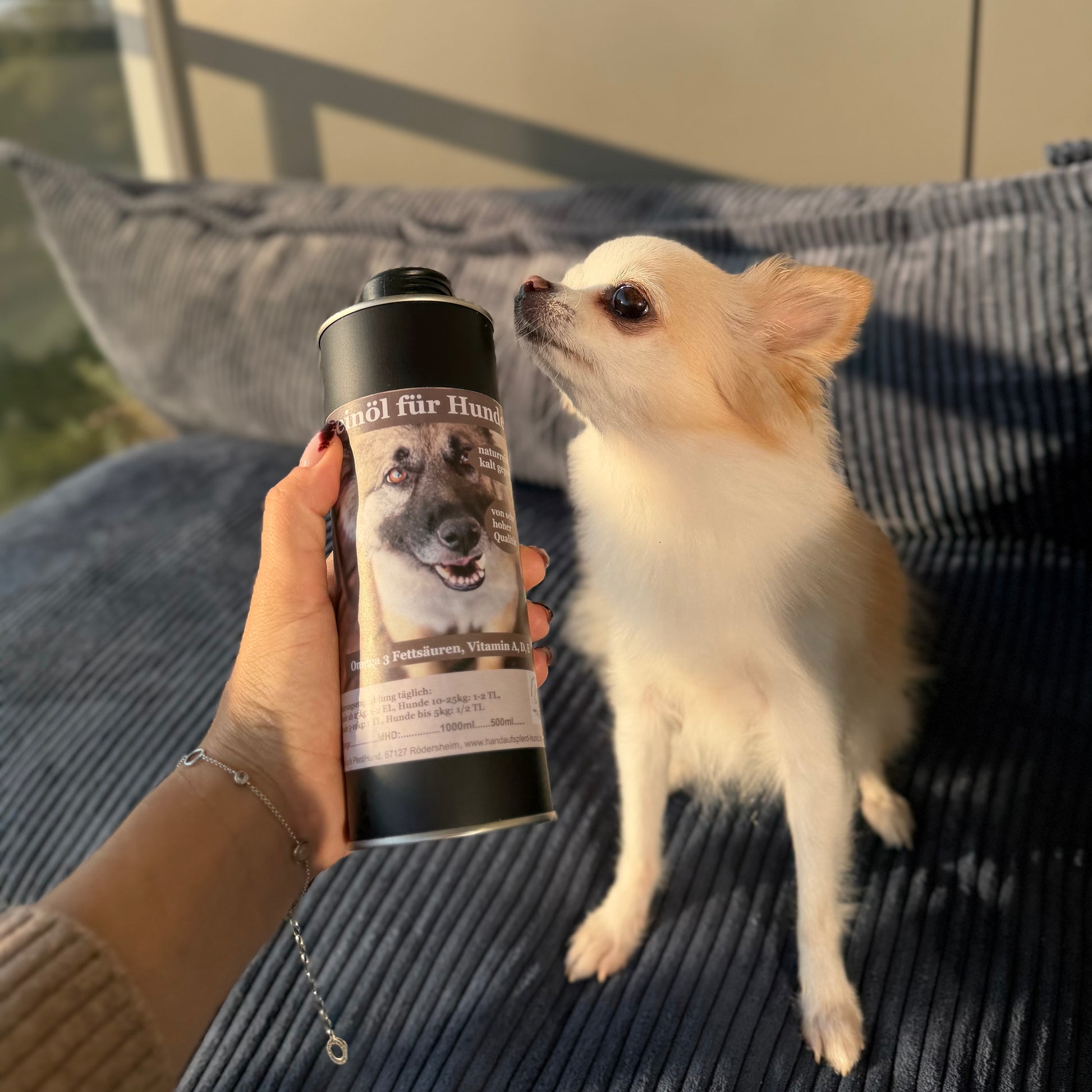 leinöl für hunde kaufen