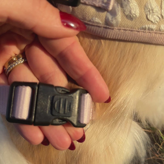 Sicherheits Brustgeschirr für Hunde