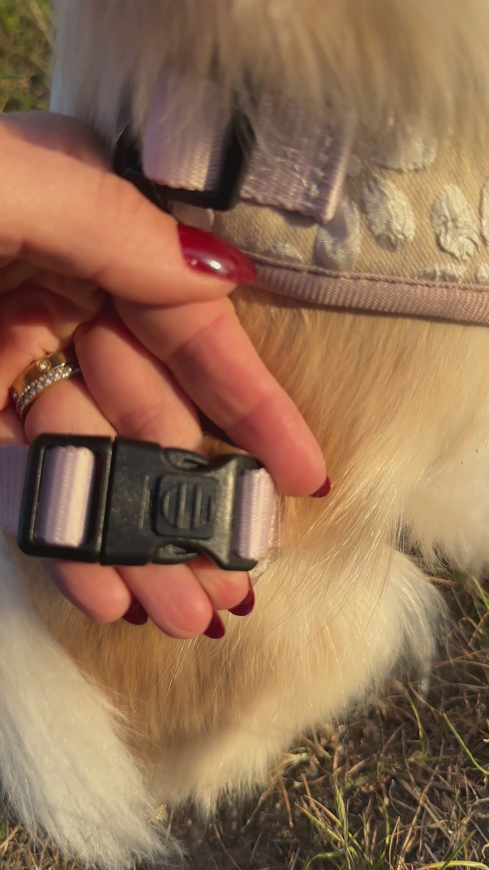 Sicherheits Brustgeschirr für Hunde