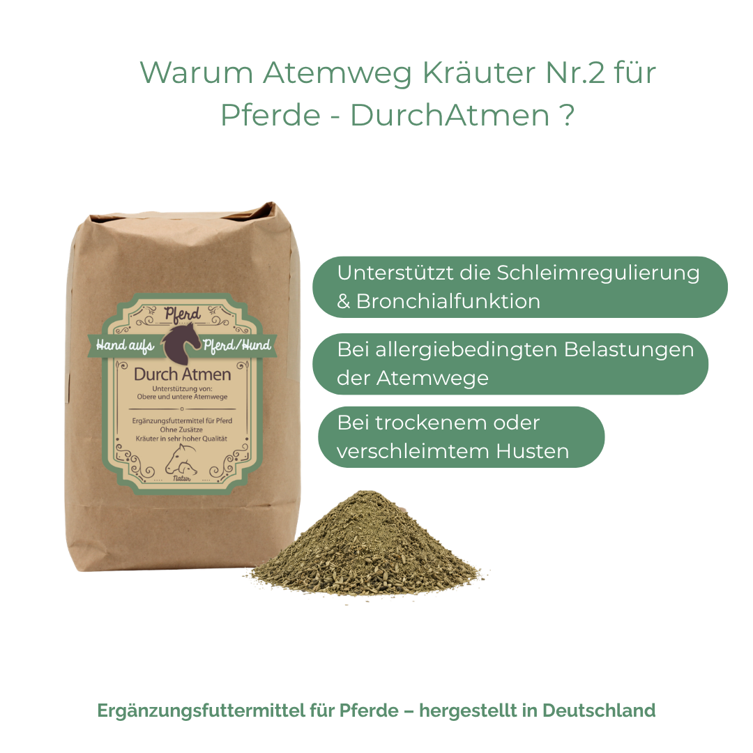 Schleimlösung bei Husten Pferd