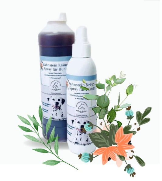 Zahnpflege Kräuter Spray