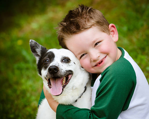 Zecken beim Hund - wie du ihn schützen kannst